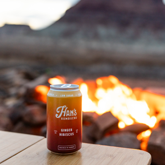 Ginger Hibiscus Kombucha