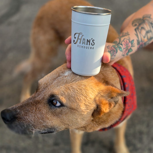 Han's Kombucha Party Cup image 0