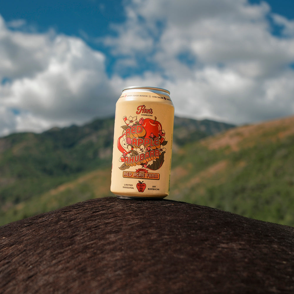 Red Apple Rhubarb Kombucha